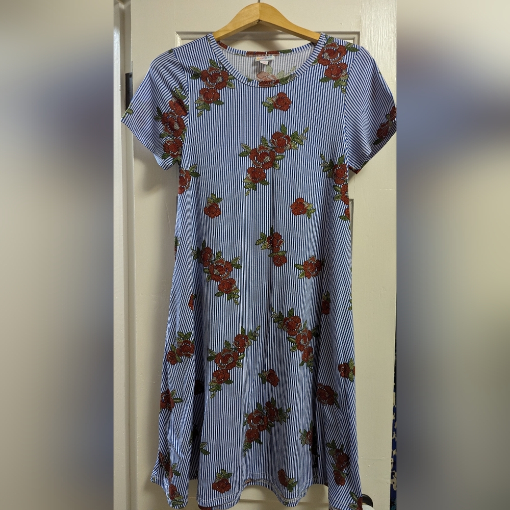 LuLaRoe Blue "Ciara" Pinstripe floral print dress WITH pockets!